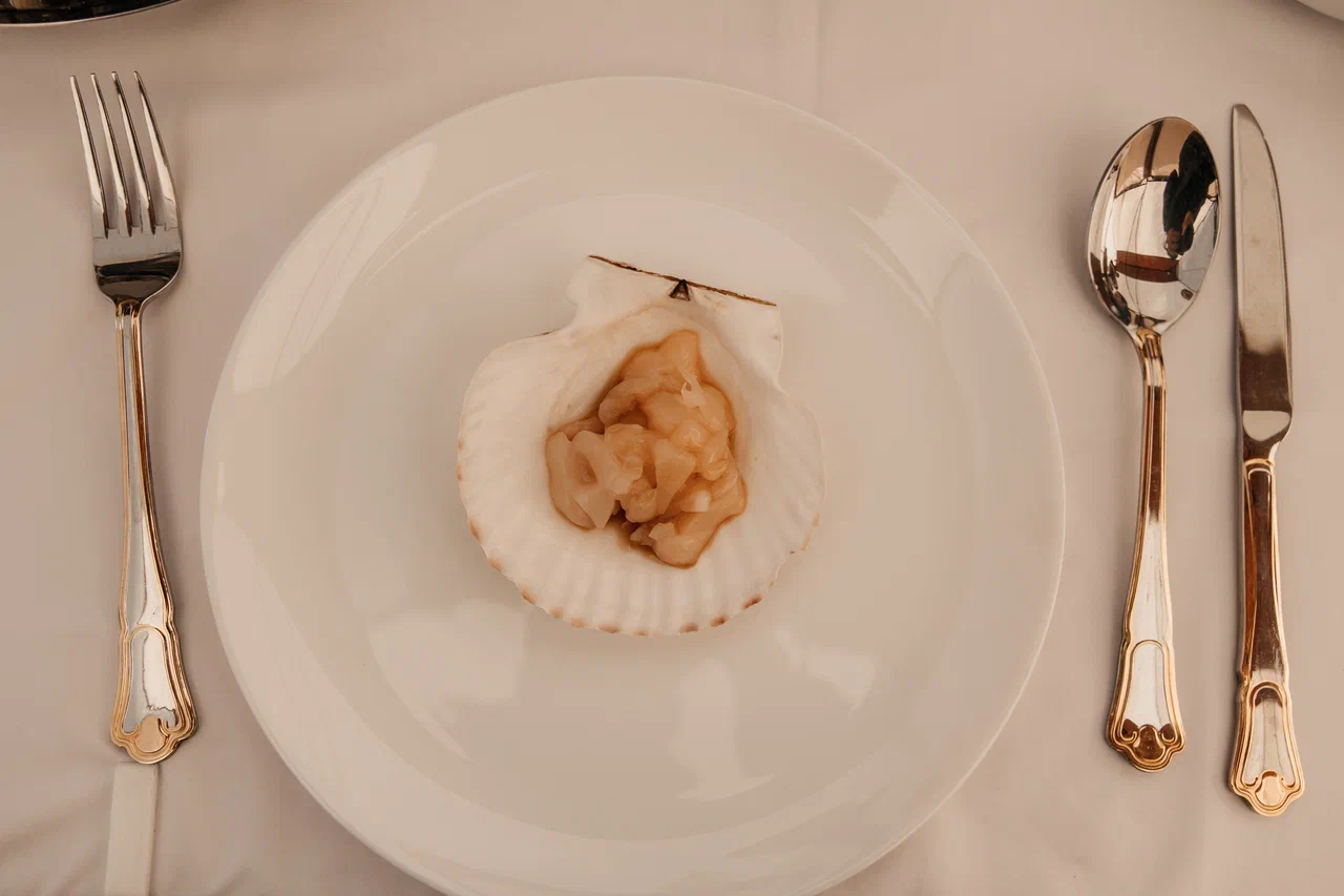 Свежий гребешок в раковине — сервировка на гастро-дегустации АМИСТ, Сахалин