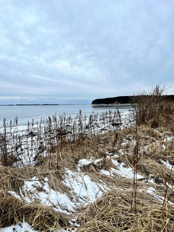 Комфортные домики туристической базы Буссе в селе Муравьёво, Сахалин