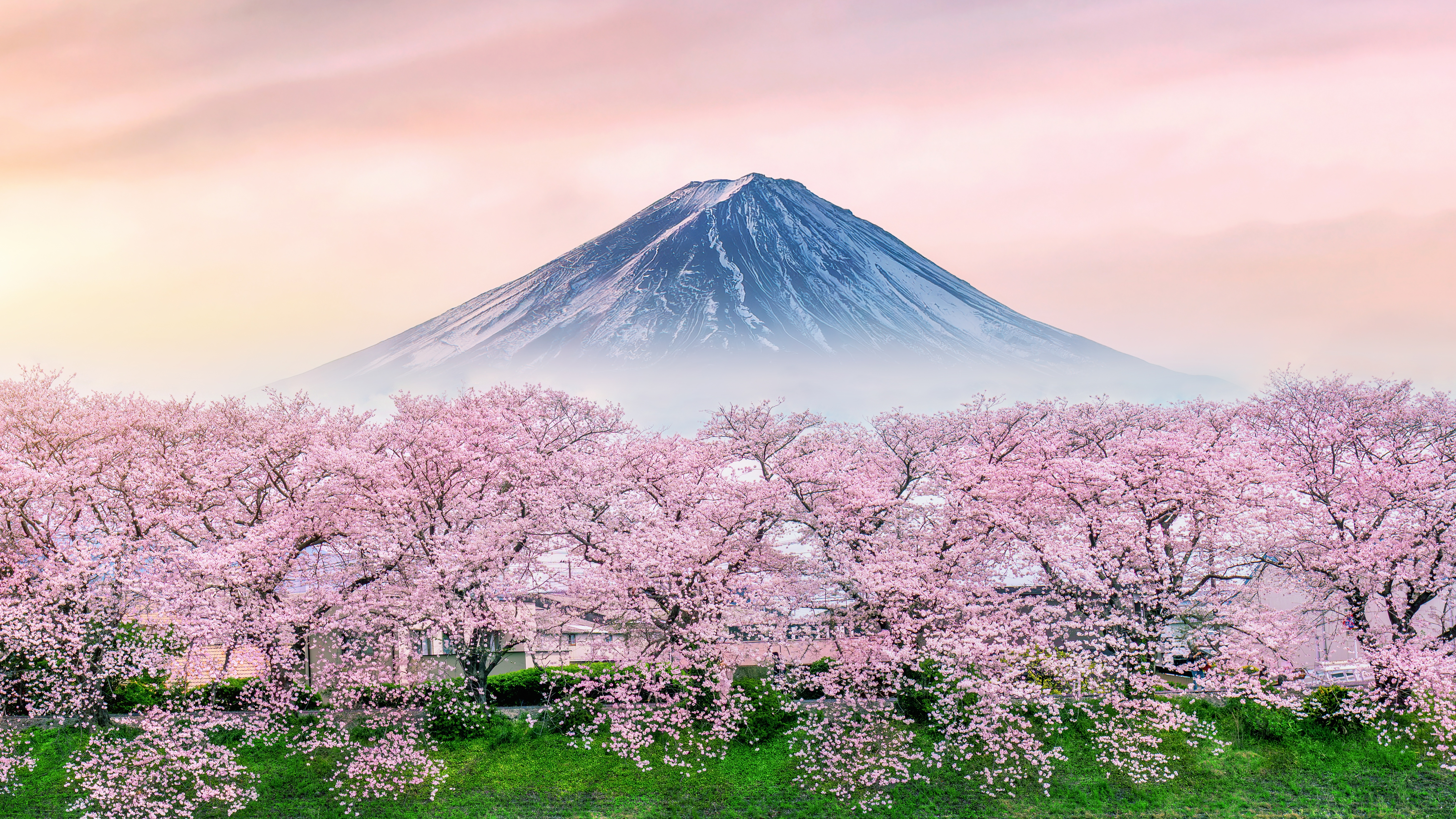 Другие страны — Япония, Корея