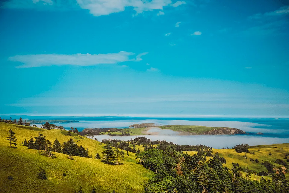 бухта Снежкова, остров Шикотан