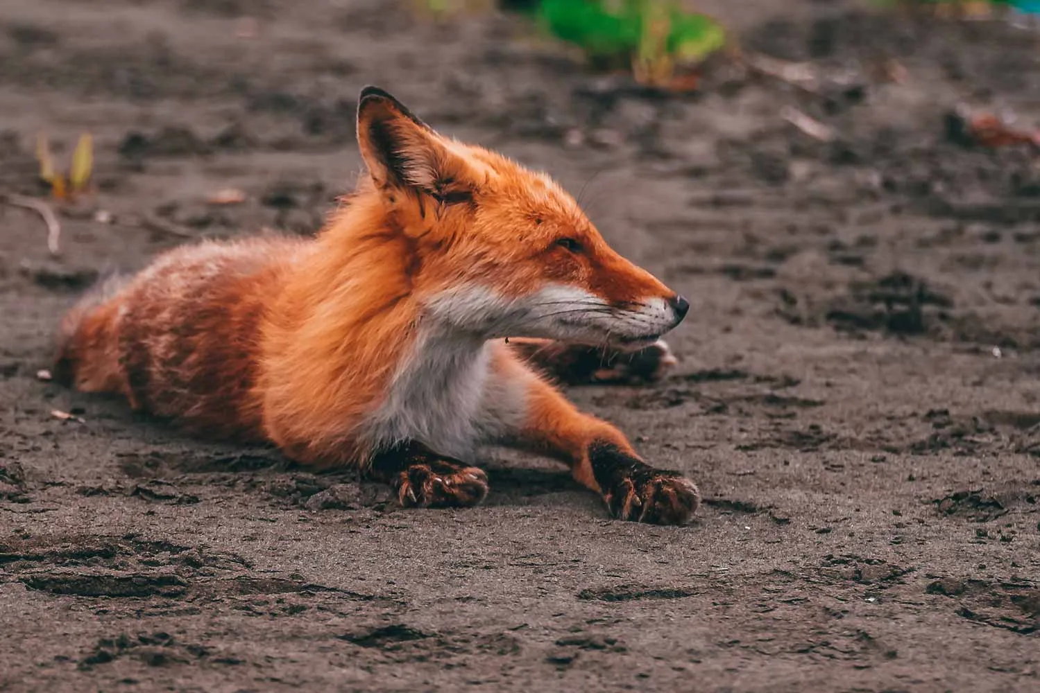 Бухта Церковная, горы Ноторо и Томари — фото 02, экскурсия АМИСТ