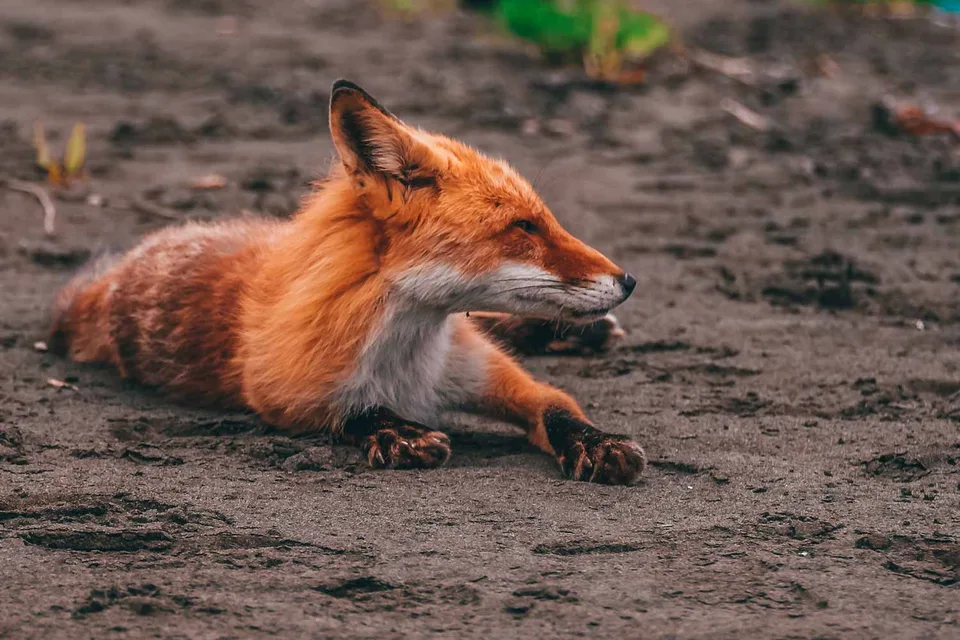 Бухта Церковная