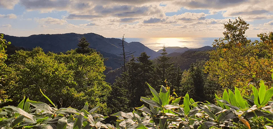 Джип-тур на мыс Птичий и Великан — фото 05, экскурсия АМИСТ