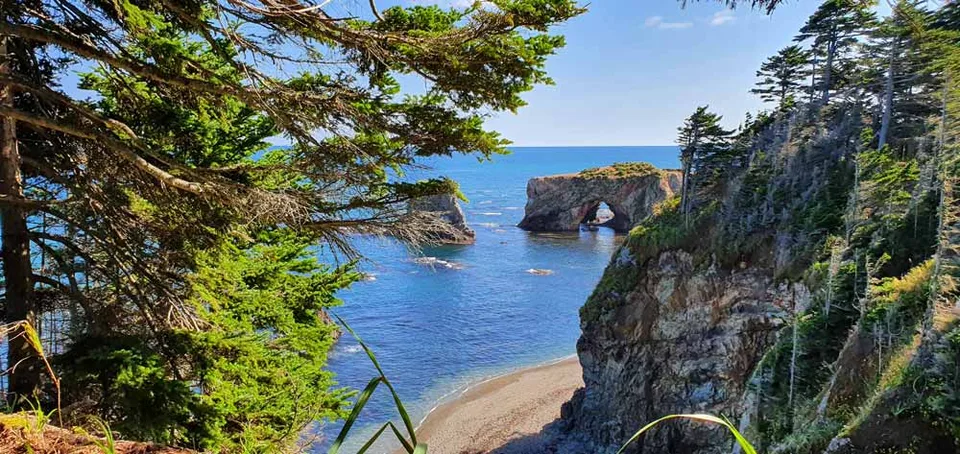 Мыс Птичий и Великан