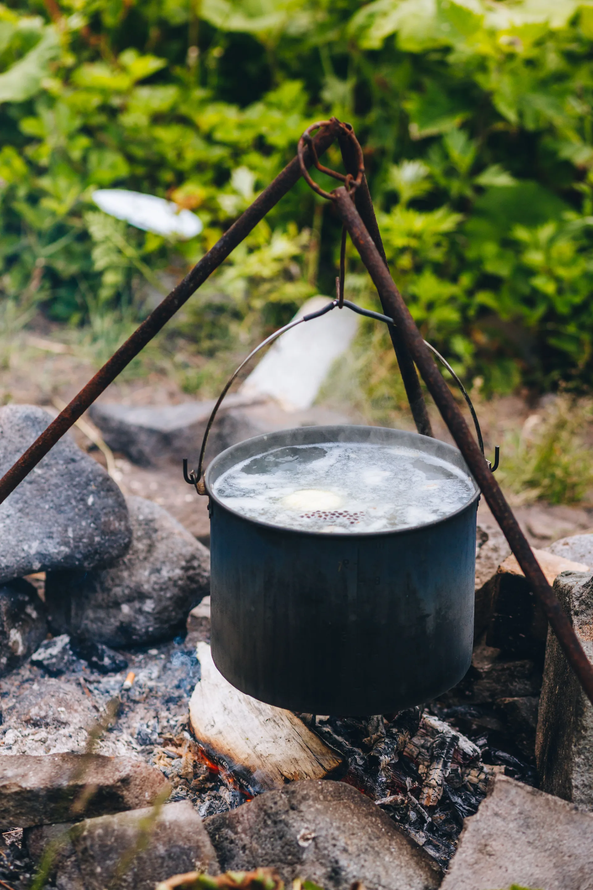 Эко-тропа Столбовская, термальные источники — фото 02, экскурсия АМИСТ