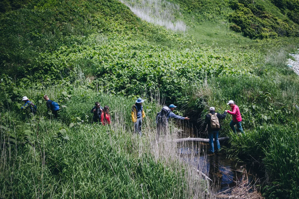 экологическая тропа, о. Кунашир