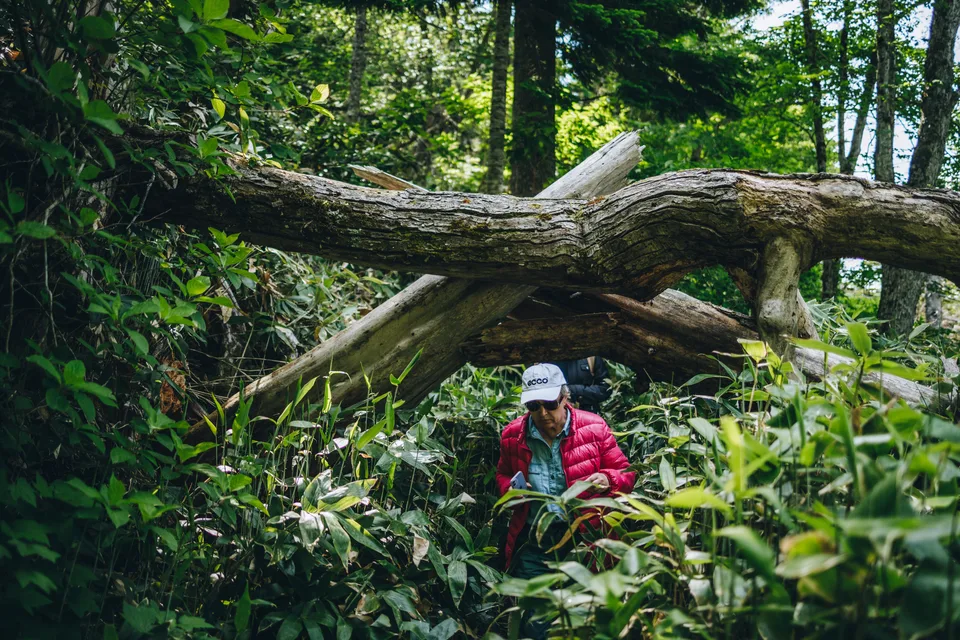 экологическая тропа, о. Кунашир