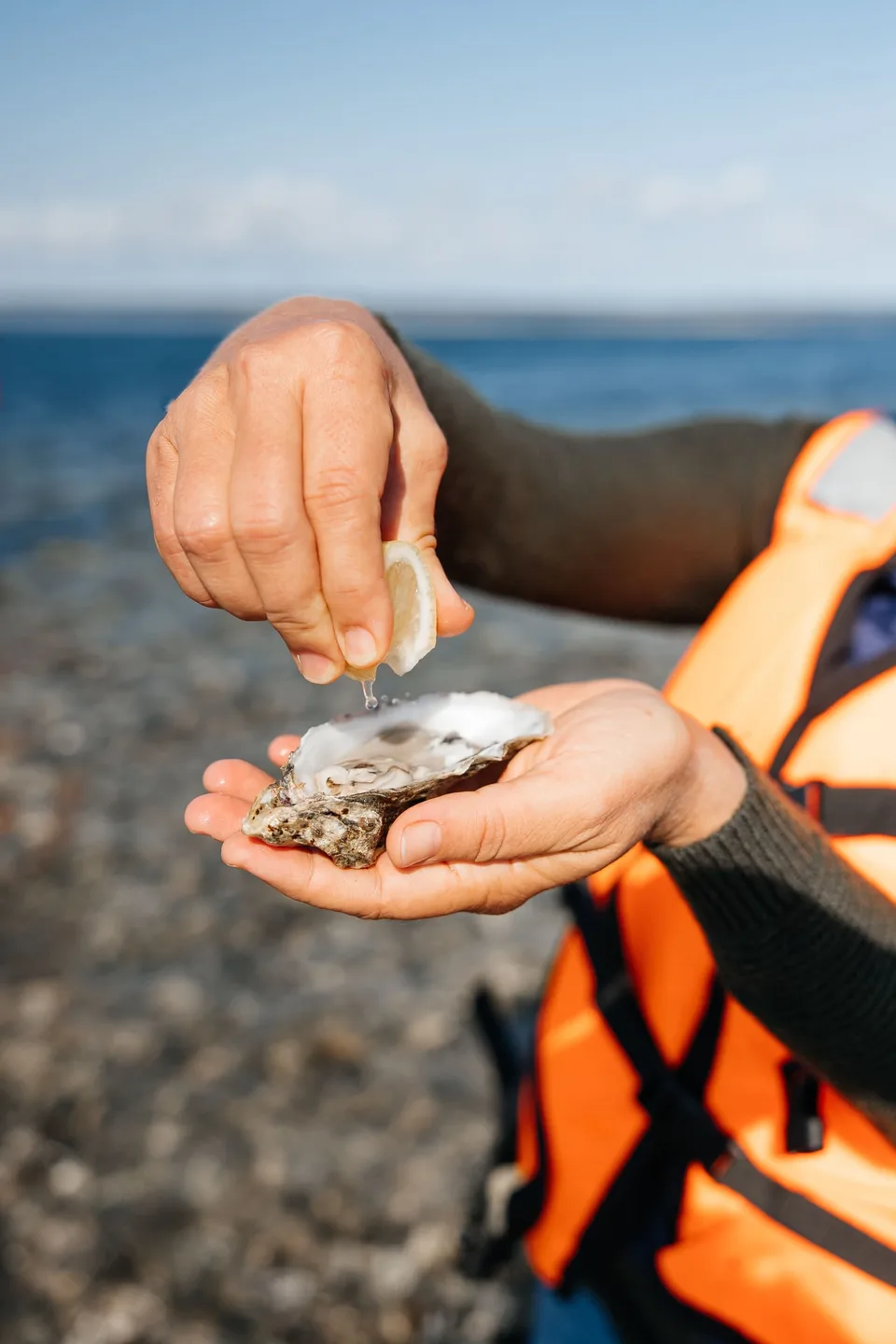 布瑟潟湖美食一日游 — 张照片 10, 阿米斯特短途游