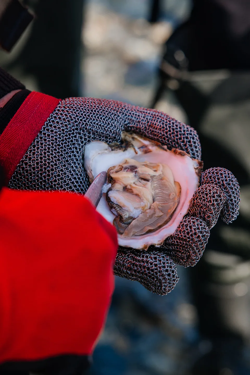 Aniva Lighthouse by Sea + Oyster Lunch at Busse Lagoon — photos 01, AMIST excursion