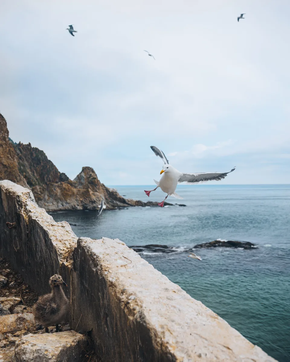 Aniva Lighthouse by Sea + Oyster Lunch at Busse Lagoon — photos 02, AMIST excursion