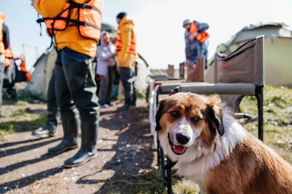 Aniva Lighthouse by Sea + Oyster Lunch at Busse Lagoon — photos 09, AMIST excursion