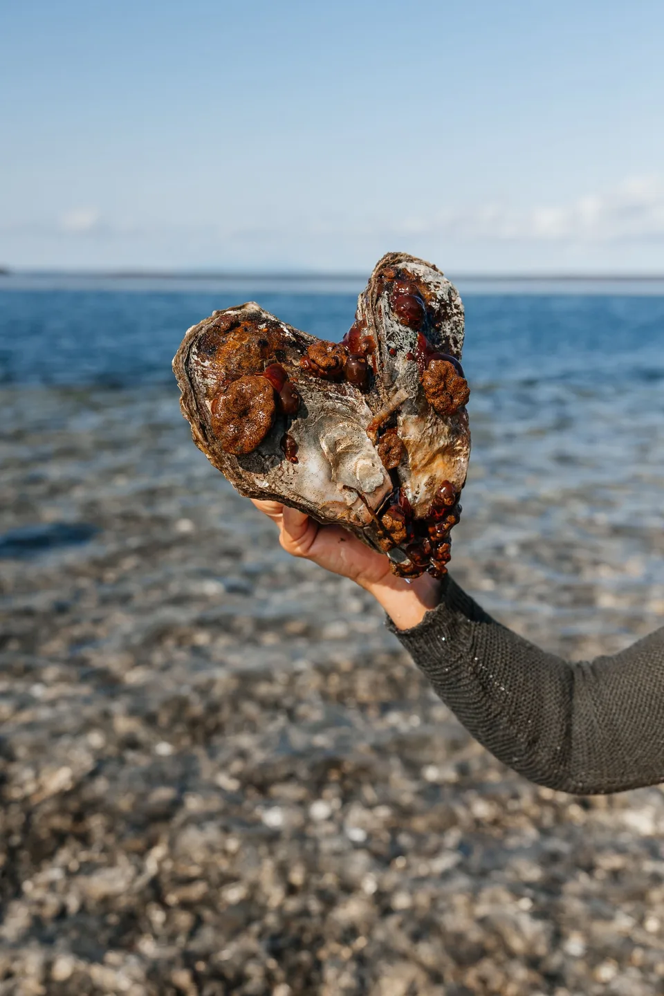 Aniva Lighthouse by Sea + Oyster Lunch at Busse Lagoon — photos 17, AMIST excursion