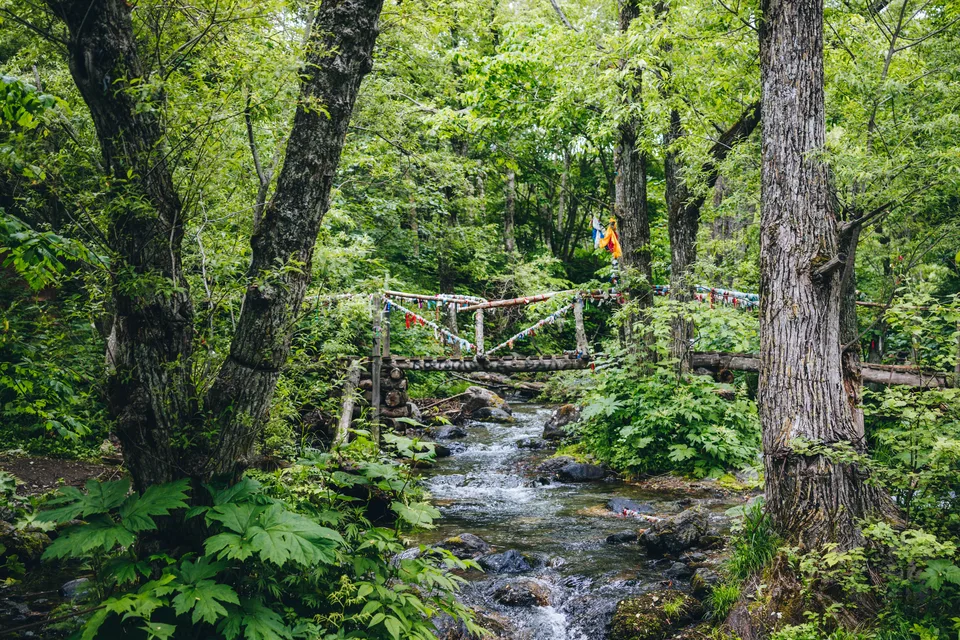 mesto-sily-na-osakhalin-skalnyj-ostanets-lyagushka — фото, экскурсия АМИСТ