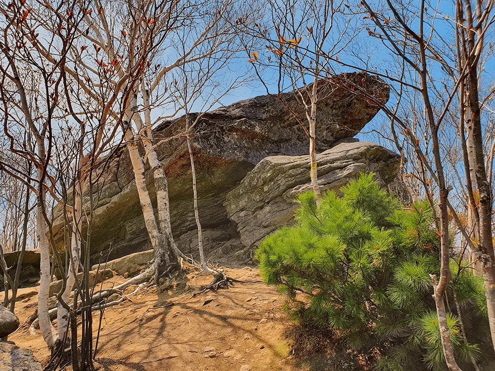 «Место Силы» — скала Лягушка — фото 02, экскурсия АМИСТ