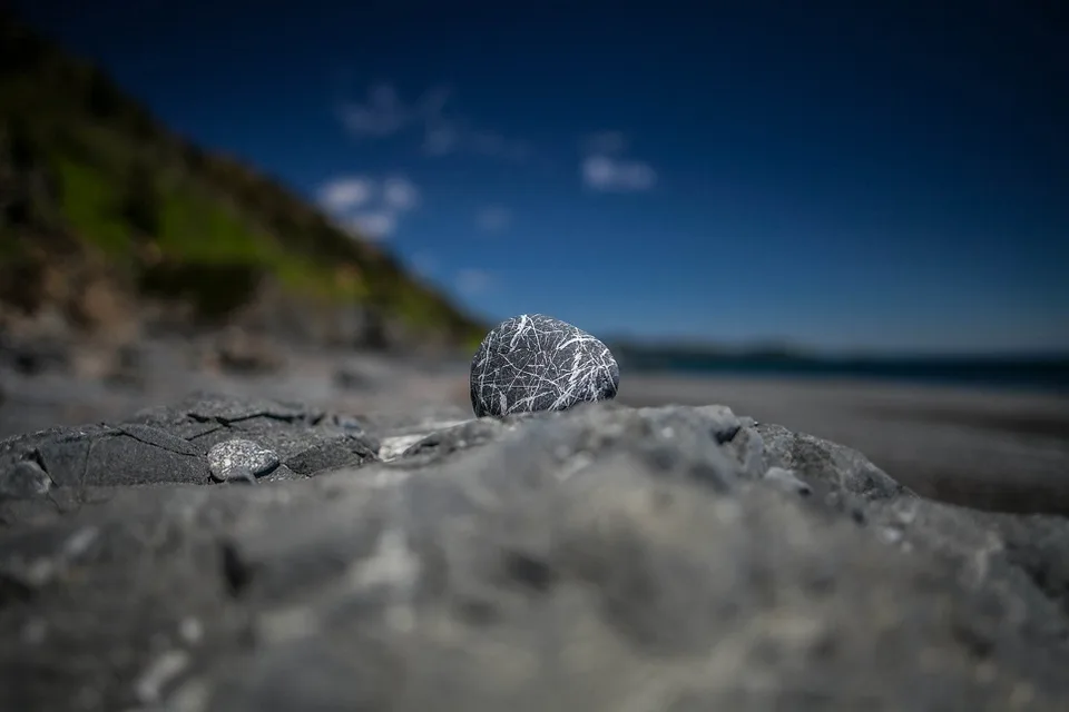 阿尼瓦灯塔与叶夫斯塔菲角出海游 — 张照片 12, 阿米斯特短途游