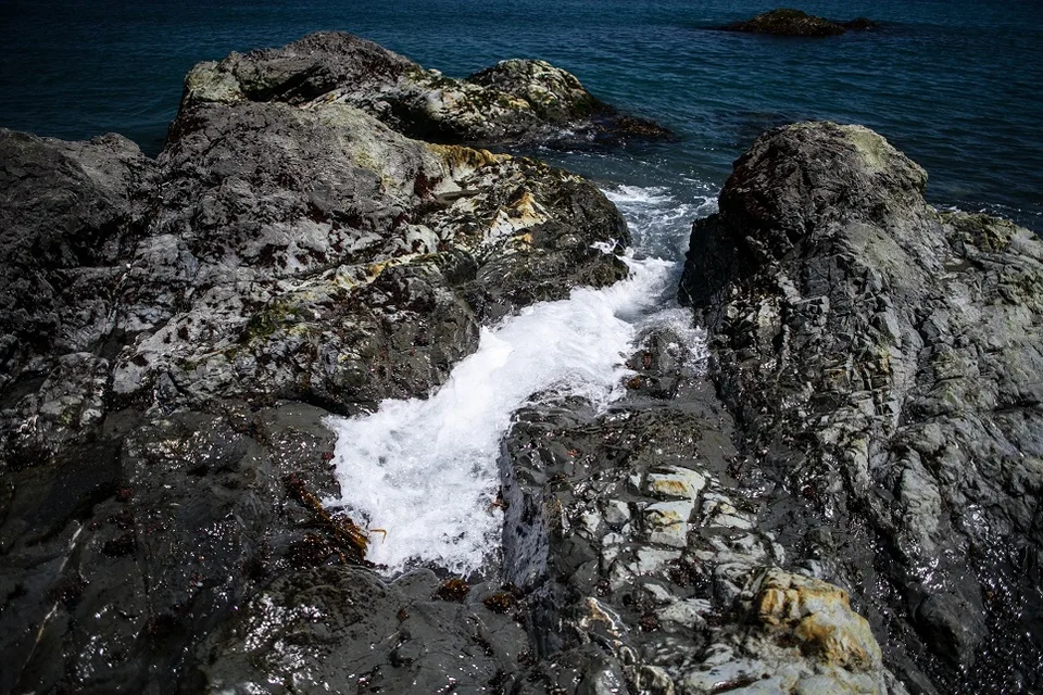 阿尼瓦灯塔与叶夫斯塔菲角出海游 — 张照片 13, 阿米斯特短途游