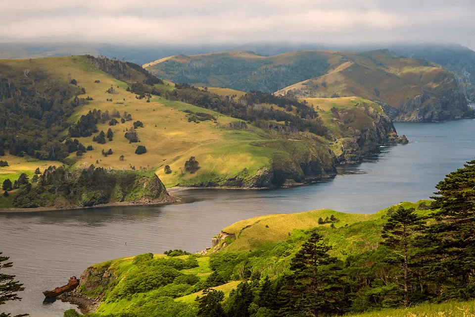 Бухта Безымянная, о. Шикотан