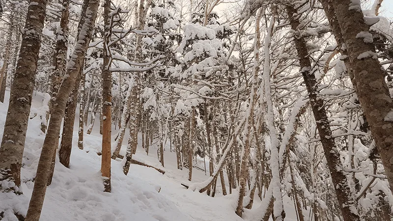 力量之地：青蛙岩冬季限定徒步 — 张照片 02, 阿米斯特短途游