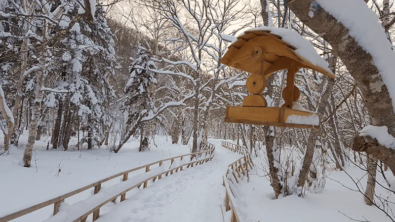 力量之地：青蛙岩冬季限定徒步 — 张照片 03, 阿米斯特短途游