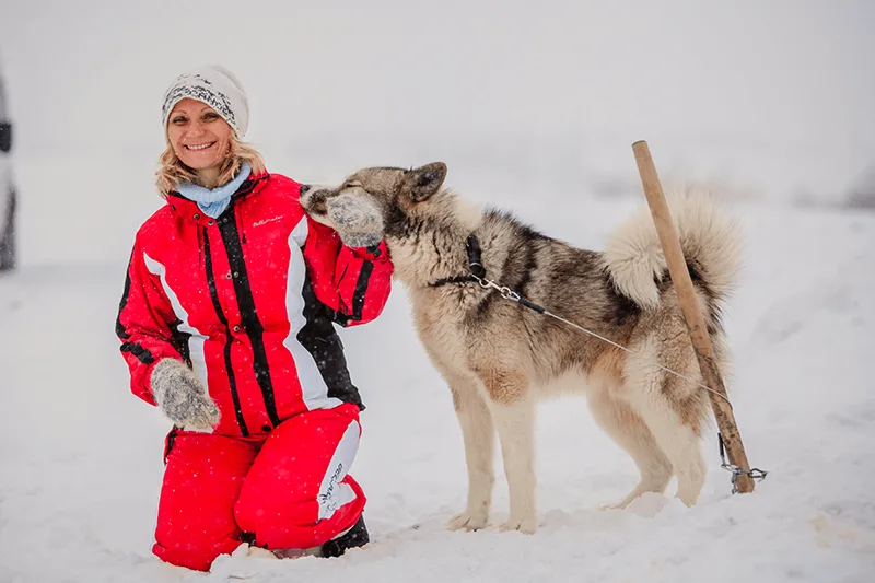 小小驭橇手——萨哈林儿童狗拉雪橇体验 — 张照片 01, 阿米斯特短途游