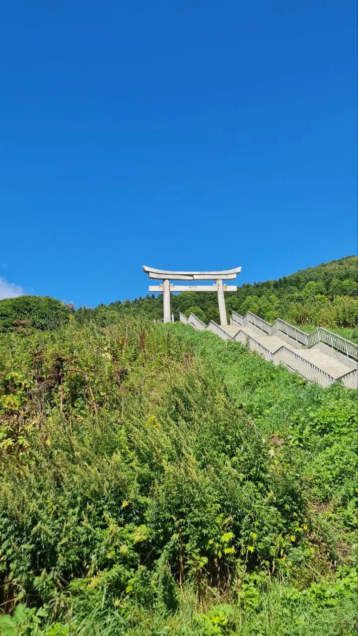岛 萨哈林岛 海湾