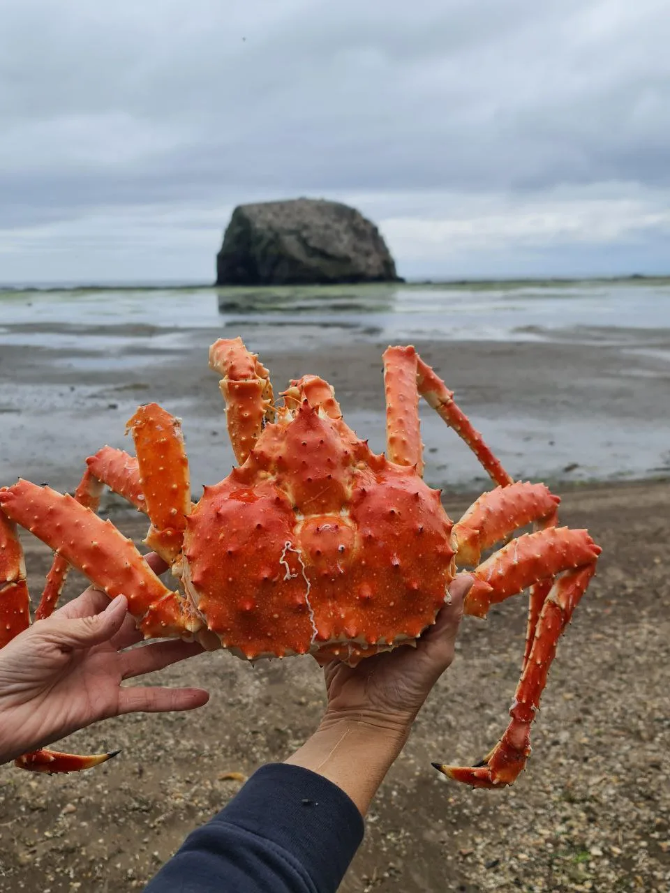 琥珀海岸 + 蒂哈亚湾——萨哈林东海岸深度一日 — 张照片 04, 阿米斯特短途游