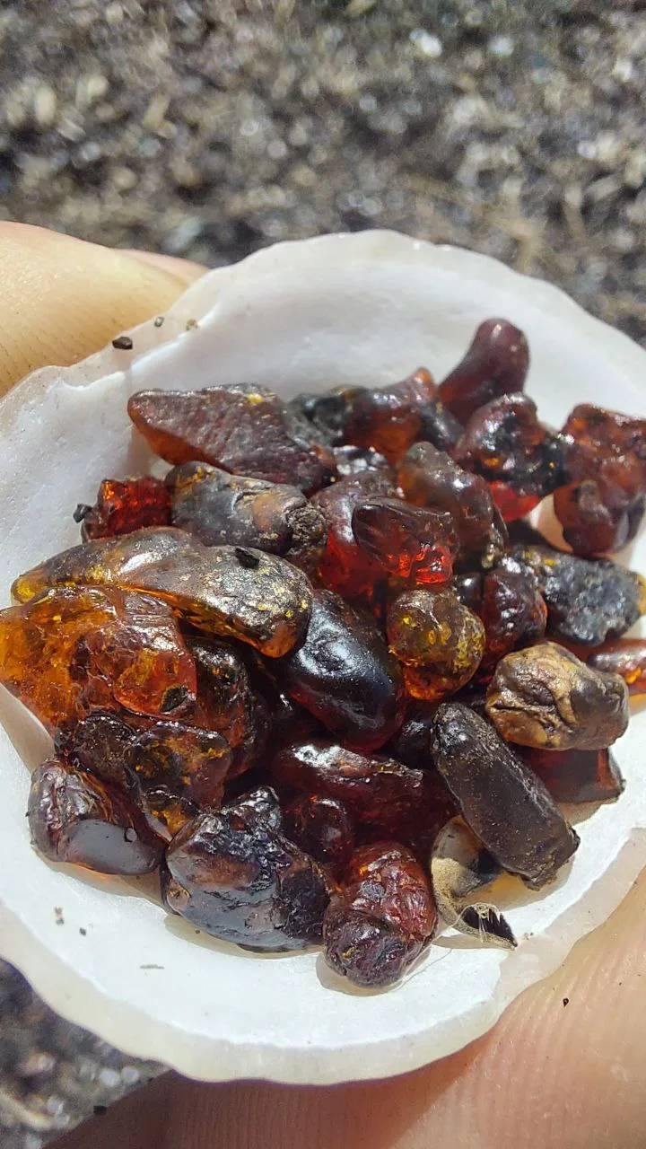 琥珀海岸 + 蒂哈亚湾——萨哈林东海岸深度一日 — 张照片 05, 阿米斯特短途游