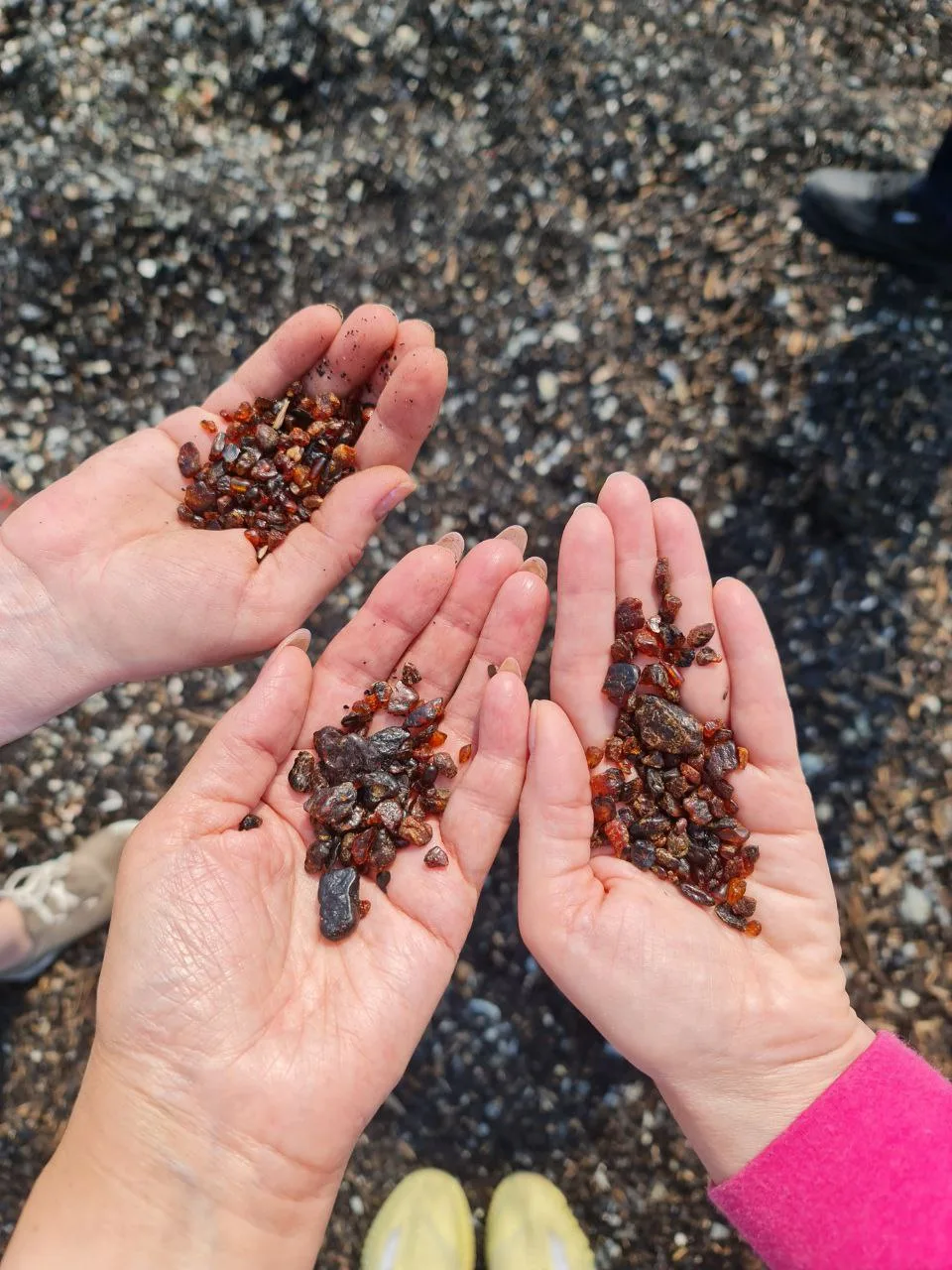 琥珀海岸 + 蒂哈亚湾——萨哈林东海岸深度一日 — 张照片 06, 阿米斯特短途游