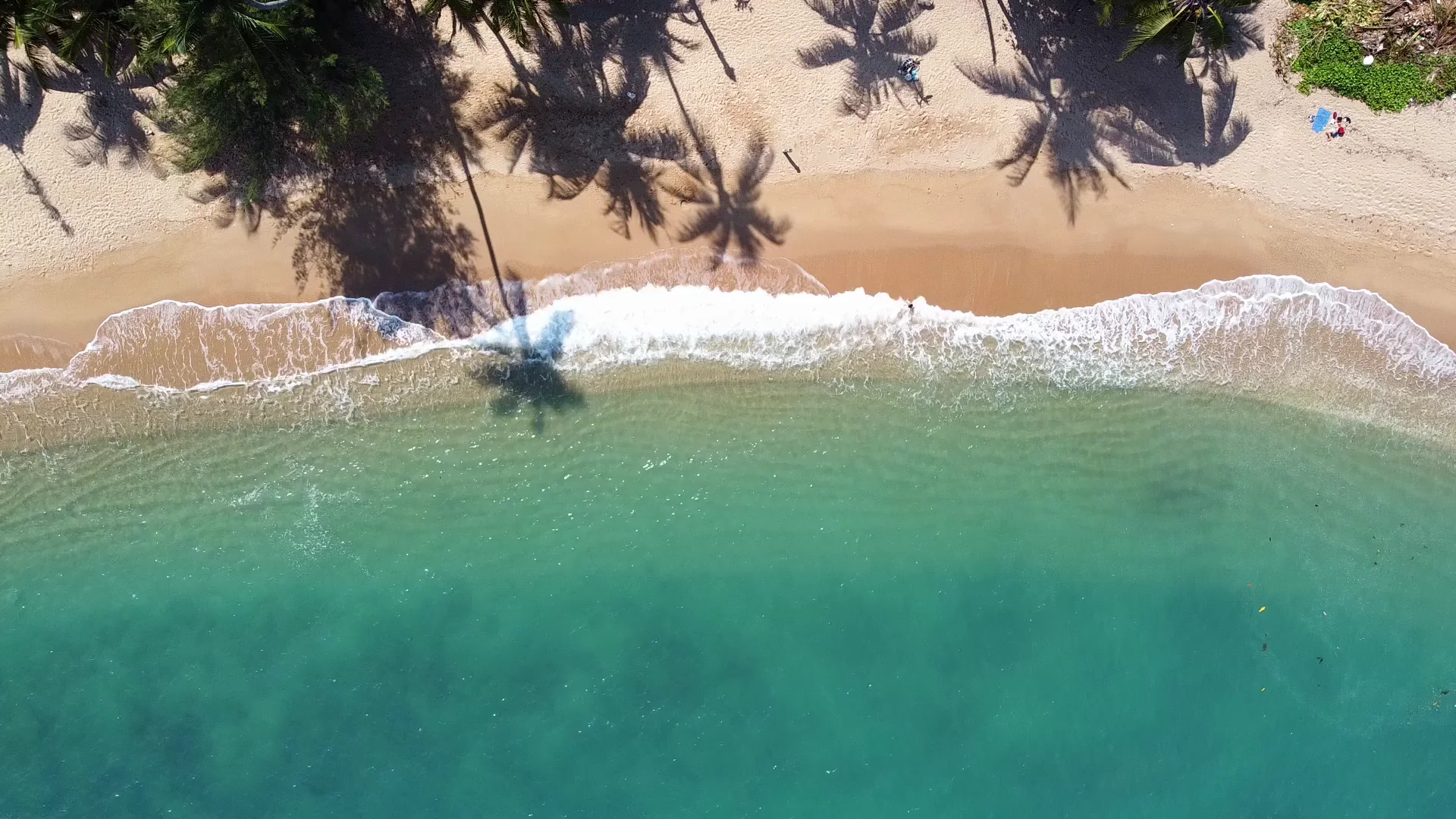 Самуи — тропический пляж и пальмы острова в Сиамском заливе