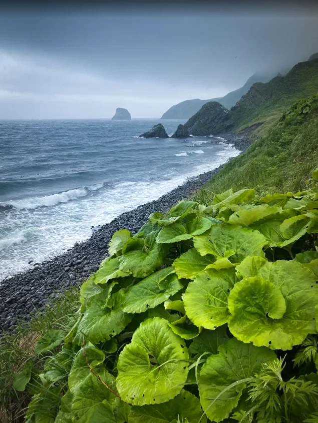 Moneron's coastline — the rock terraces of the marine nature park