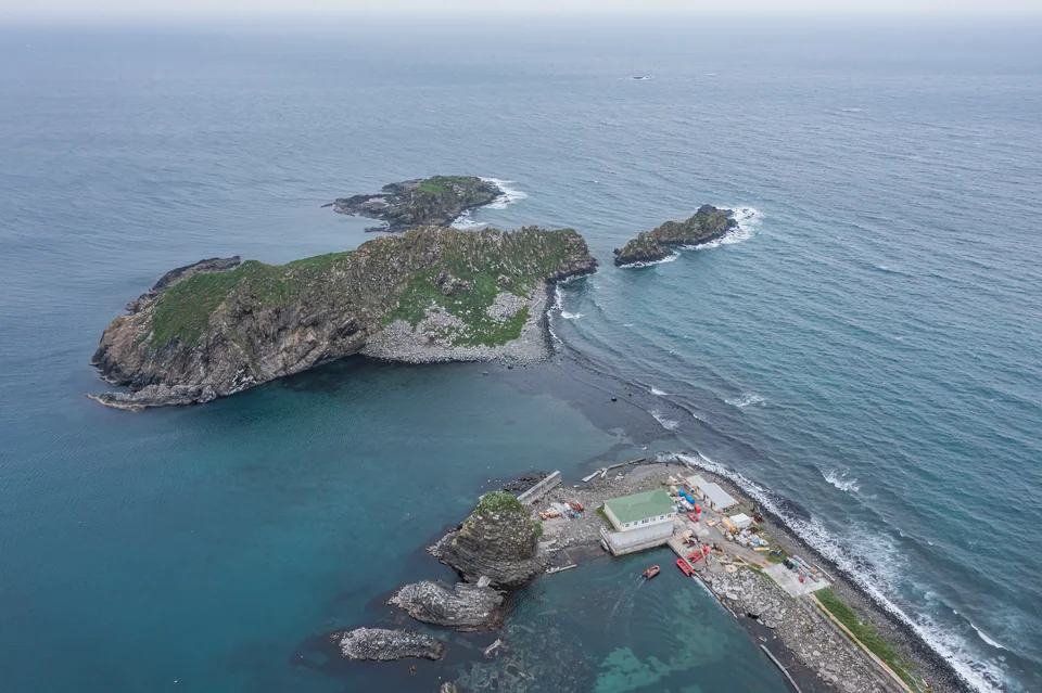 Seabird colonies on Moneron's reefs — guillemot and cormorant haul-outs on rocky islets