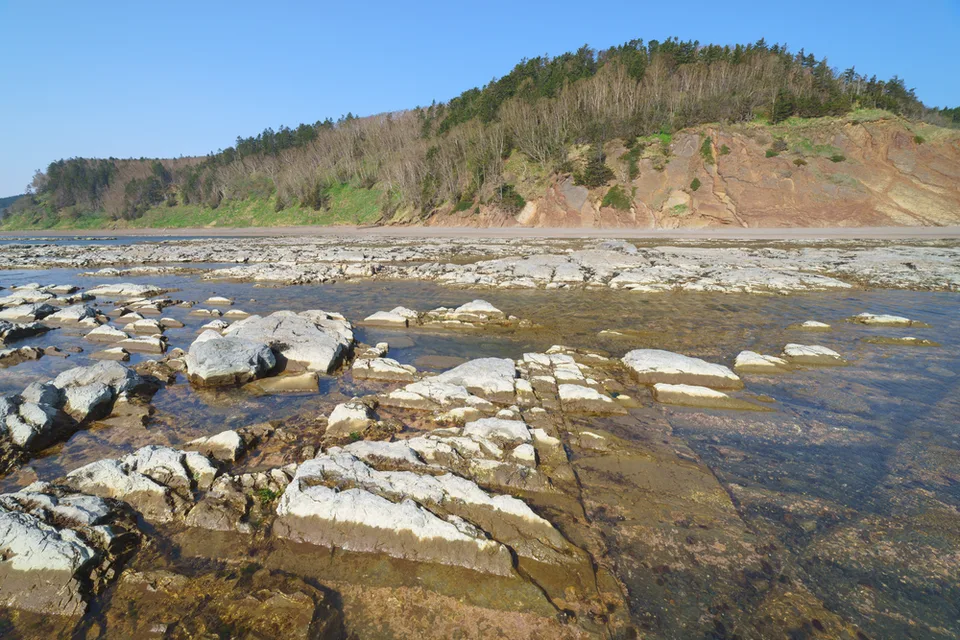 萨哈林岩石海岸的退潮
