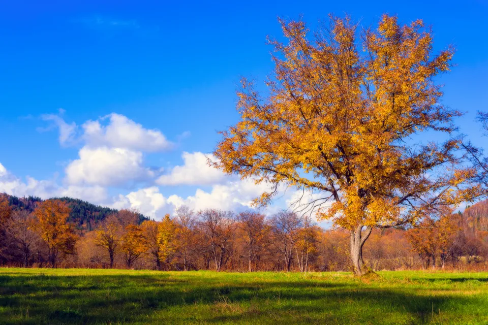 萨哈林岩石海岸