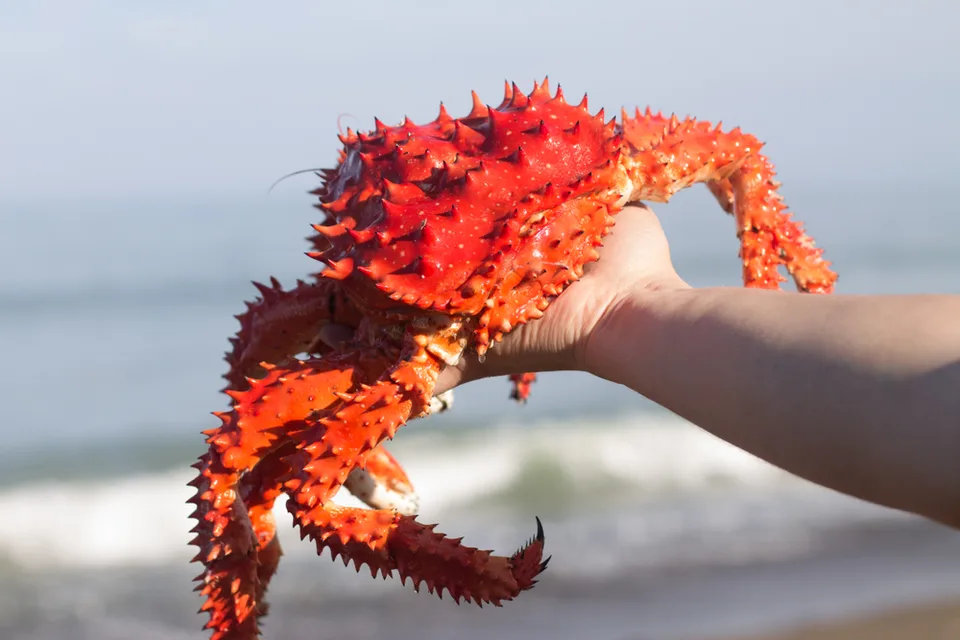 萨哈林自然风光