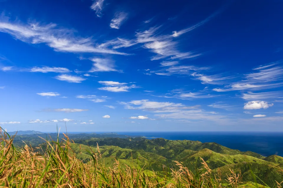 萨哈林的针叶林