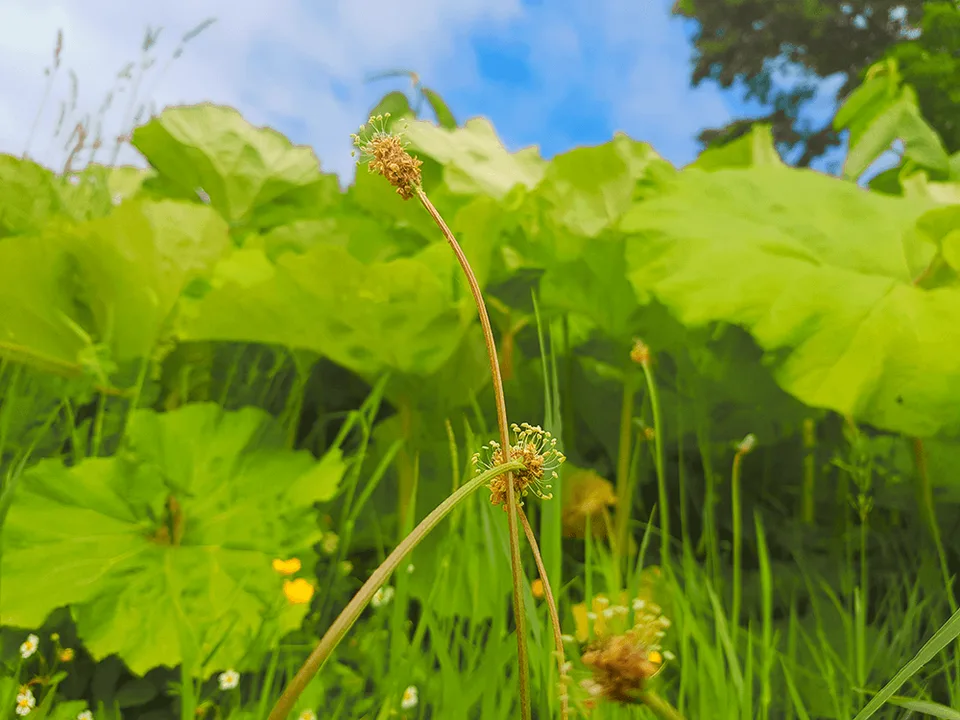 Turquoise Blue Lakes (Near Marble Quarry)