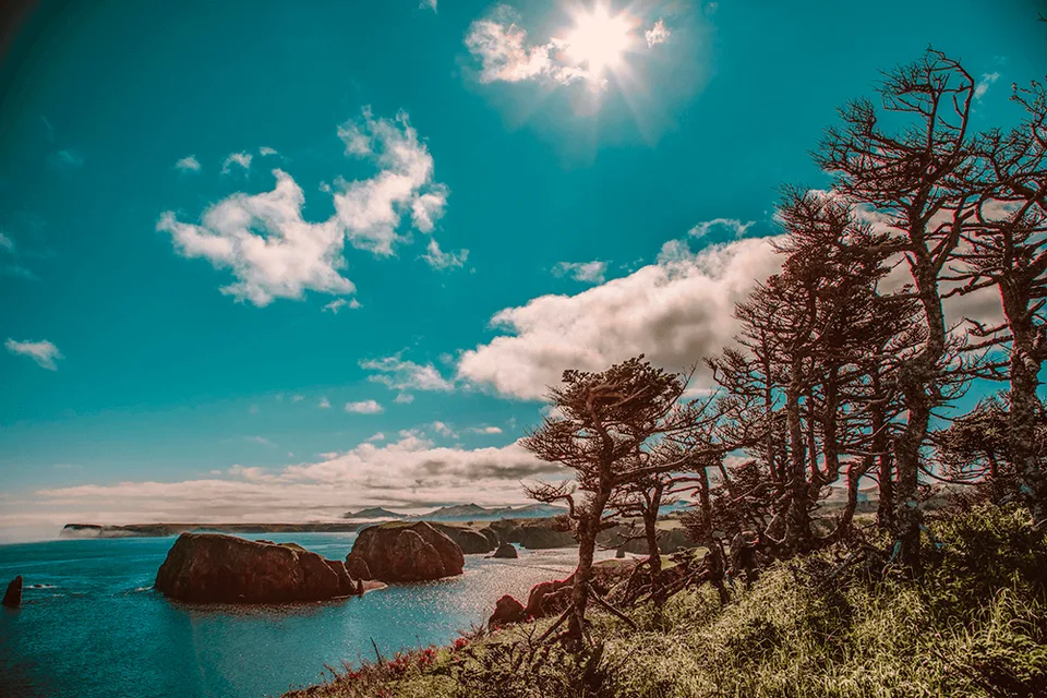 无名湾（色丹岛）