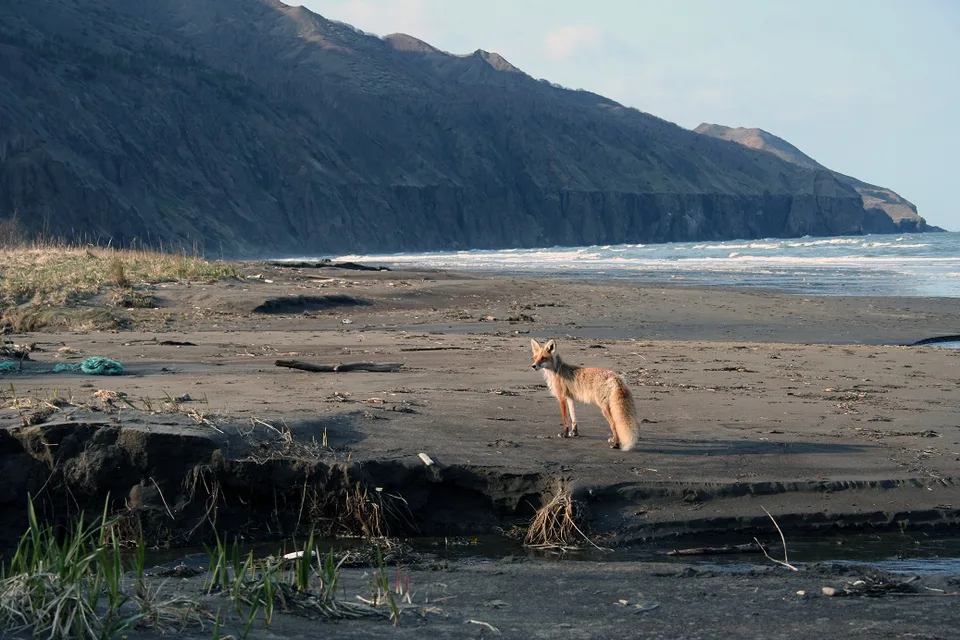 布鲁内湾（萨哈林岛东南海岸）
