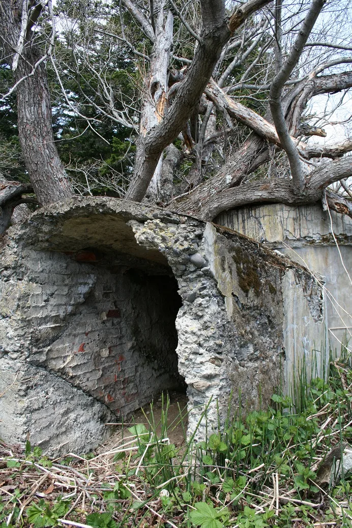 布鲁内湾（萨哈林岛东南海岸）