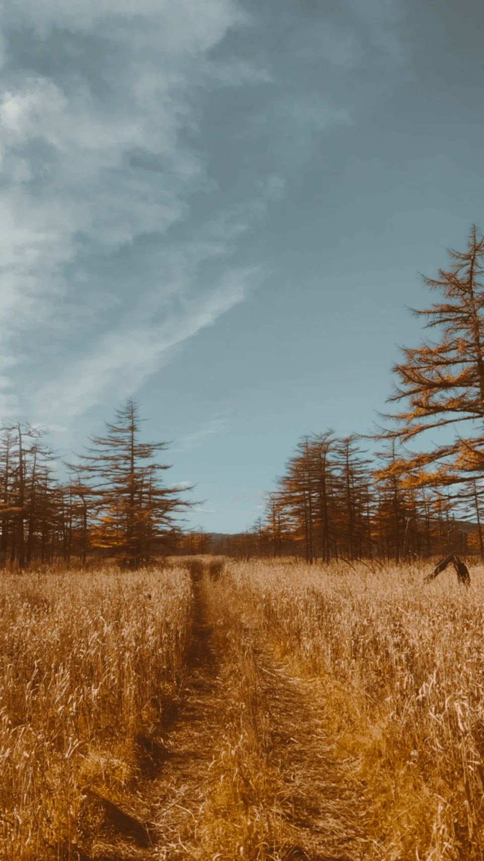 马古恩坦泥火山