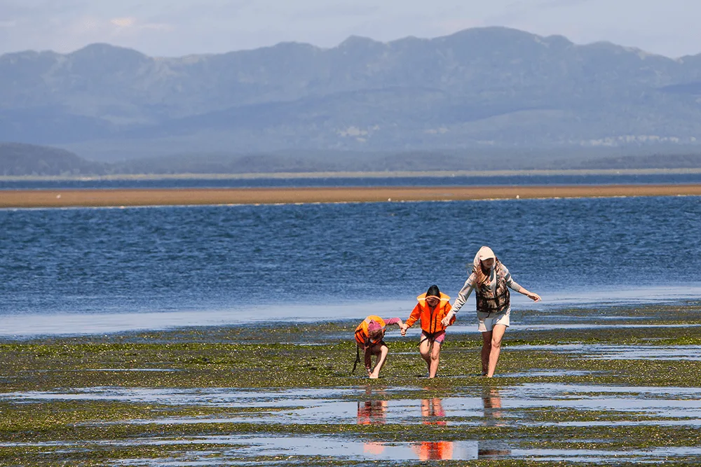 布瑟潟湖 在萨哈林岛