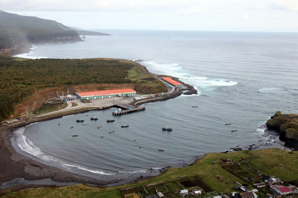 雷多沃鱼类加工厂