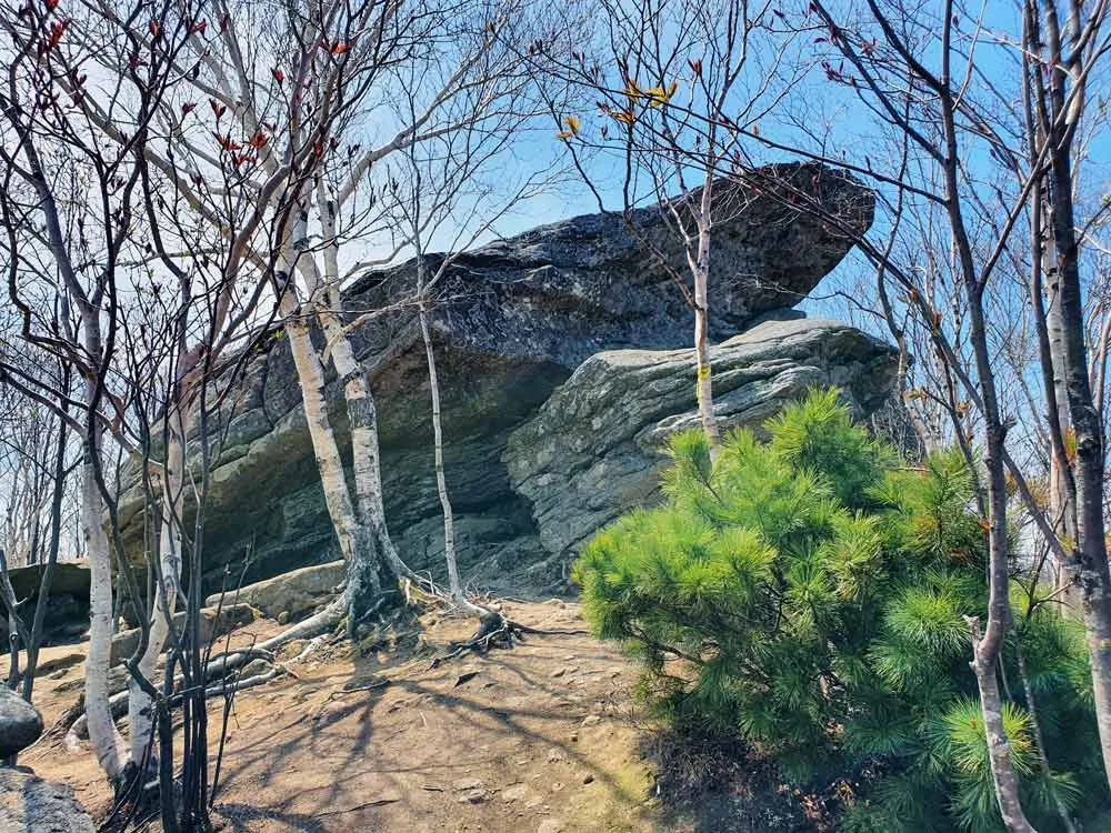 青蛙岩在萨哈林岛