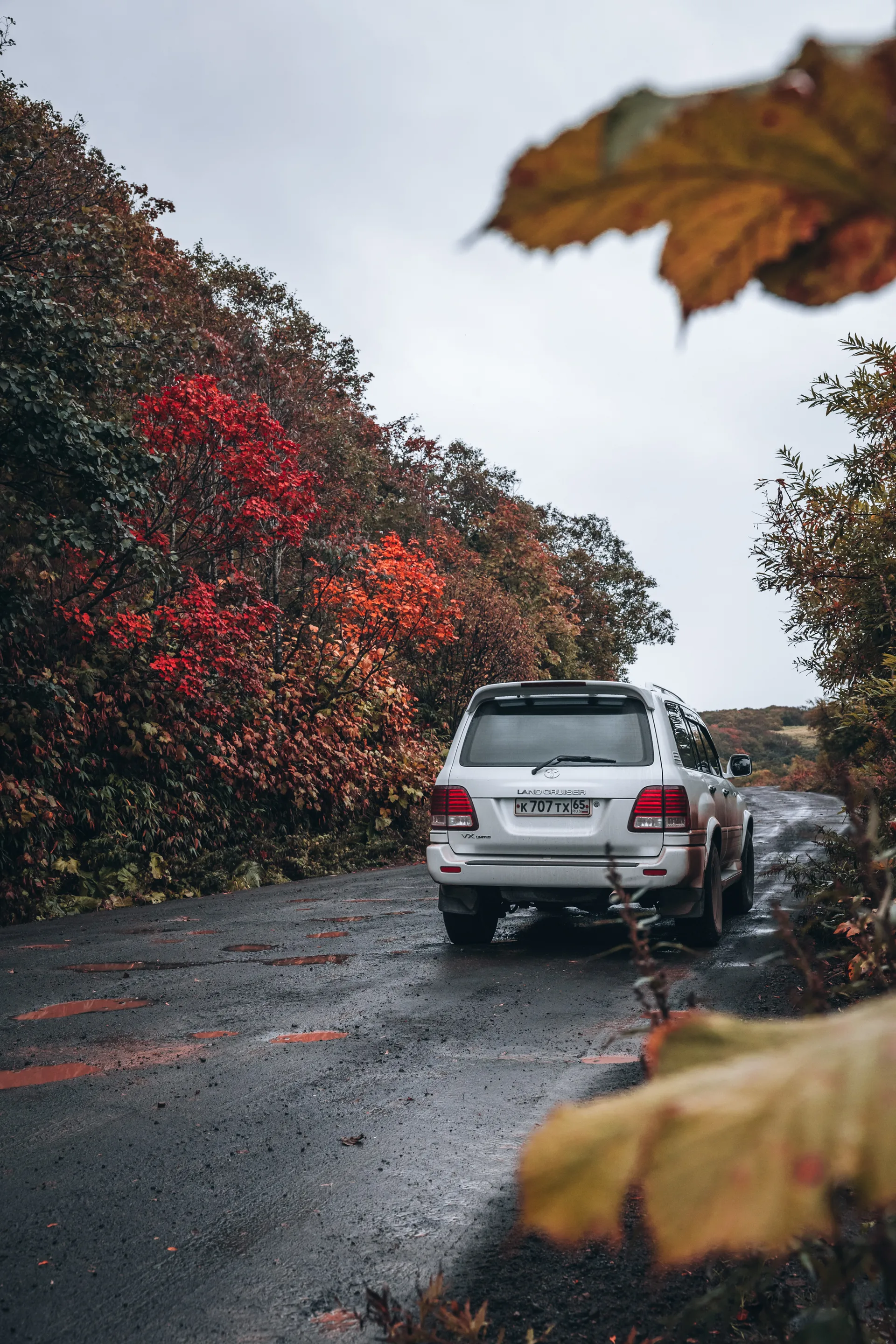 秋日择捉岛 — 旅游至 千岛群岛