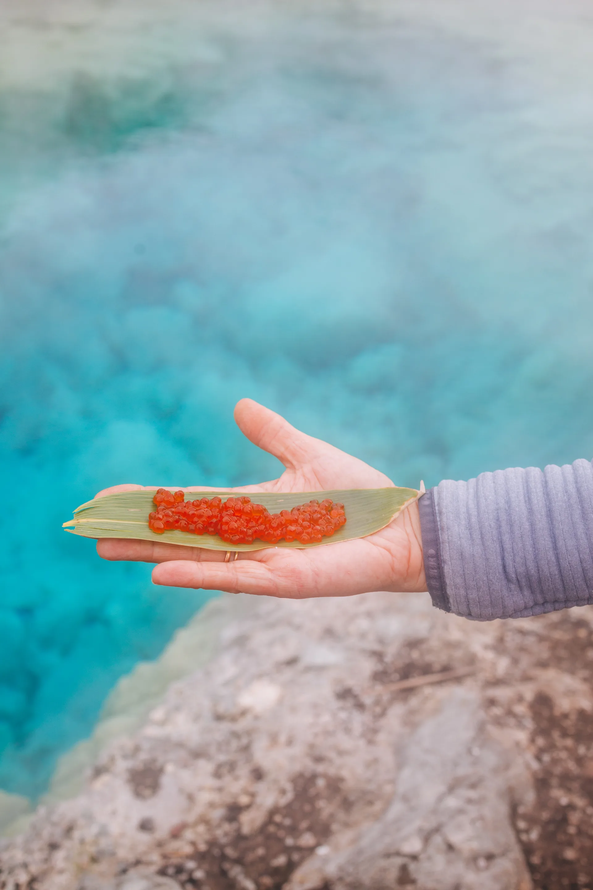 择捉岛 — 千岛群岛