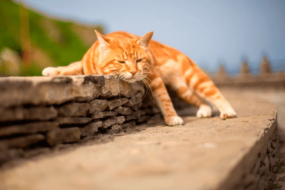 Sakhalin and the Island of Sleeping Volcanoes Iturup