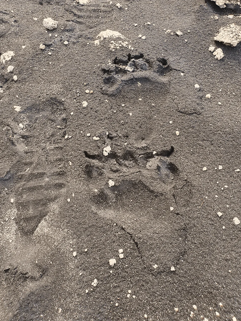 Фумаролы на склонах вулкана — пар из-под земли