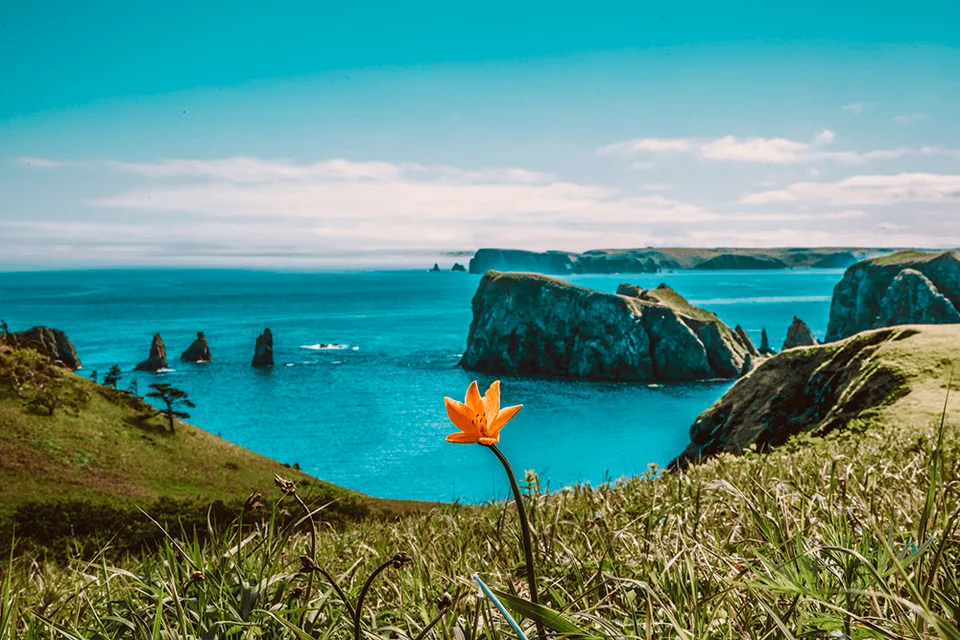 色丹岛 — 短途游