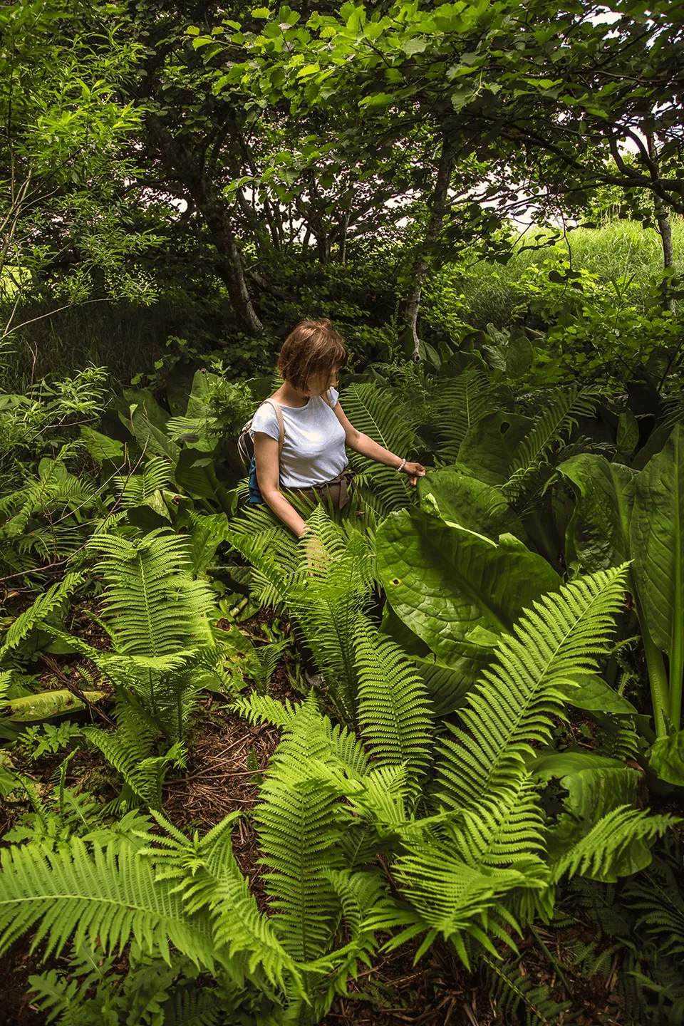 Шикотан — рыбацкие бухты острова