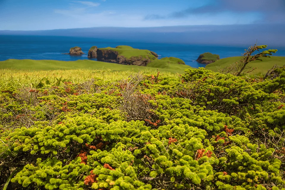 色丹岛 — 海岬